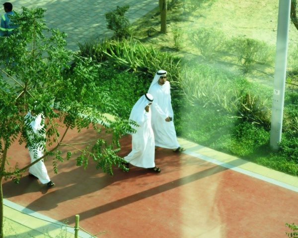 Hard work in the United Arab Emirates