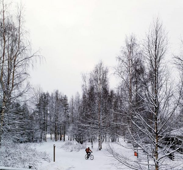 Landscape of Lapland Finland