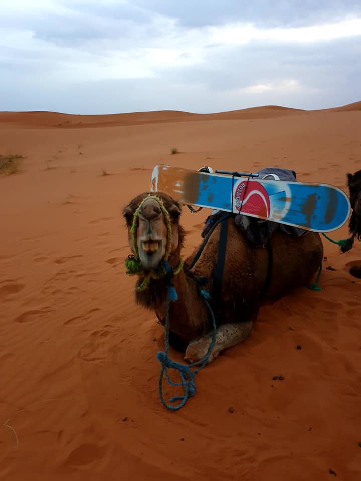 A friend in Merzouga