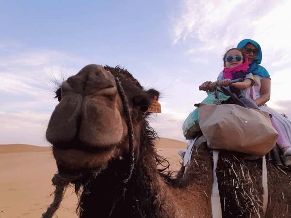 Camel ride in the Sahara Desert