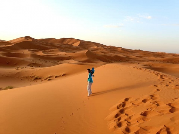 Desert morning in the Sahara