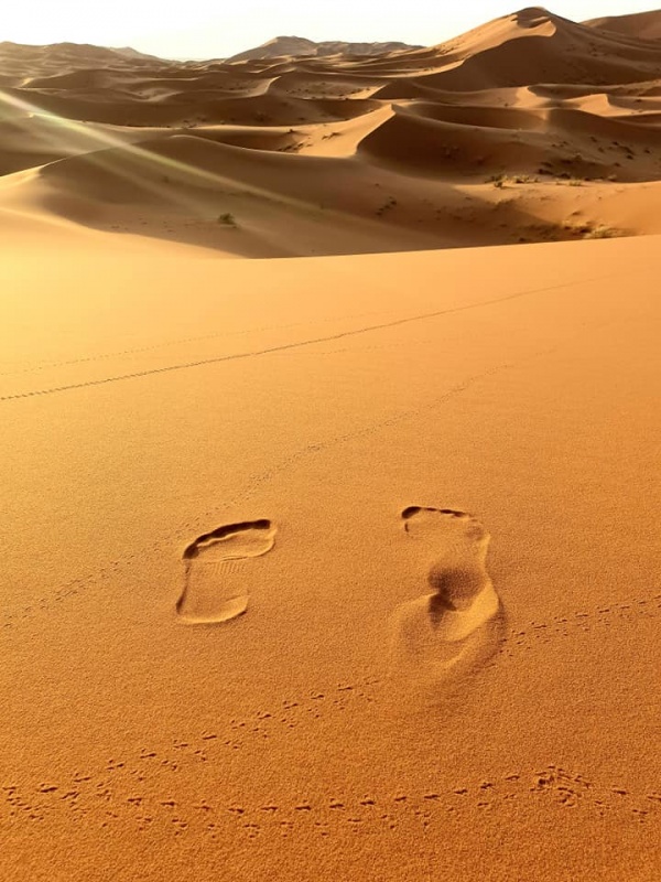 Footprints of Sahara