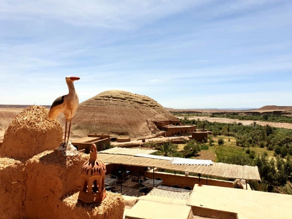 View from the Ksar of Ait-Ben-Haddou