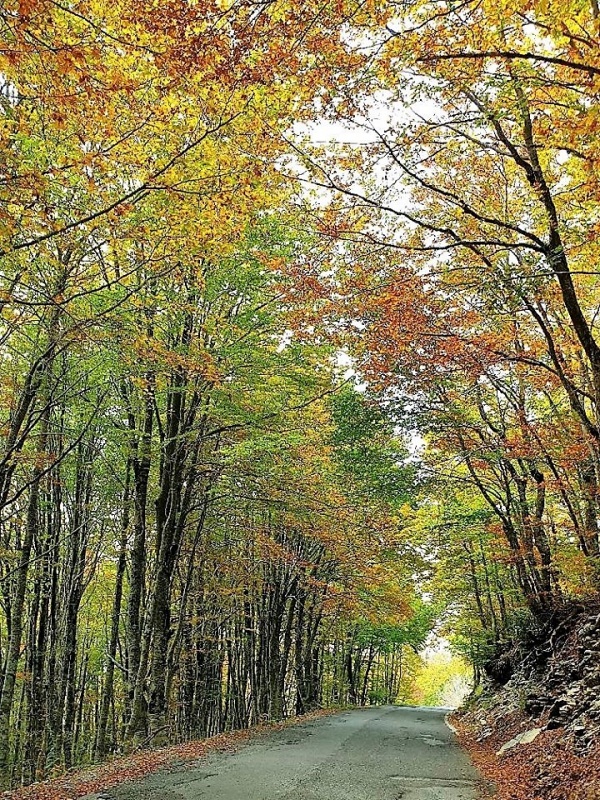 The roads of Lovcen National Park