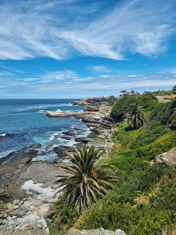 Hermanus, the world's land-based whale watching capital